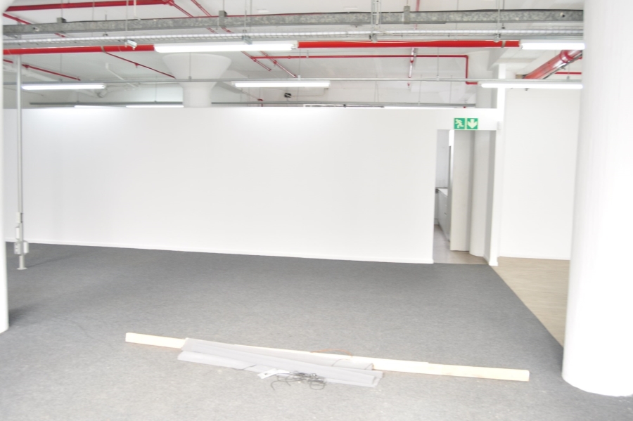To Let commercial Property for Rent in Paarden Eiland Western Cape